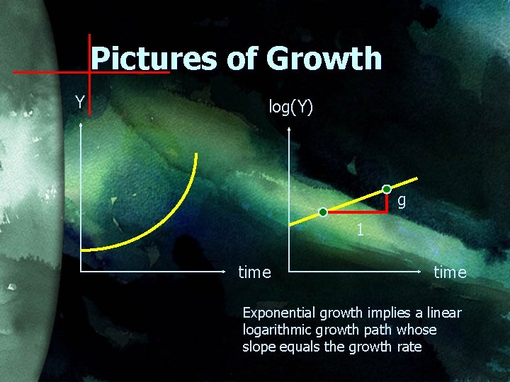 Pictures of Growth Y log(Y) g 1 time Exponential growth implies a linear logarithmic
