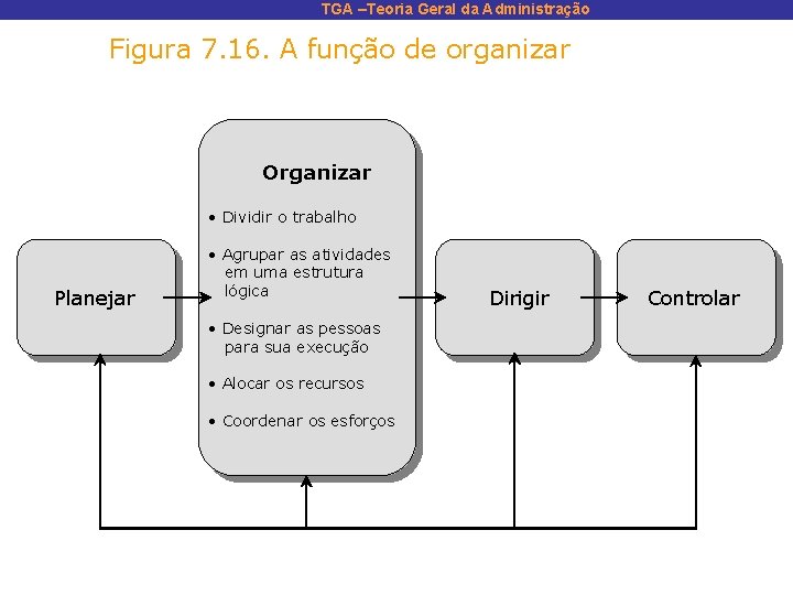 TGA –Teoria Geral da Administração Figura 7. 16. A função de organizar Organizar •