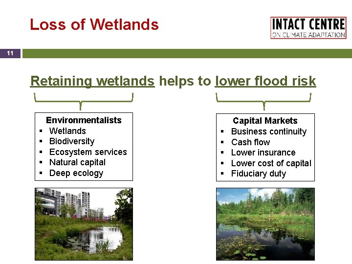 Loss of Wetlands 11 Retaining wetlands helps to lower flood risk § § §