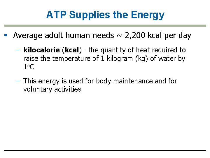 ATP Supplies the Energy § Average adult human needs ~ 2, 200 kcal per
