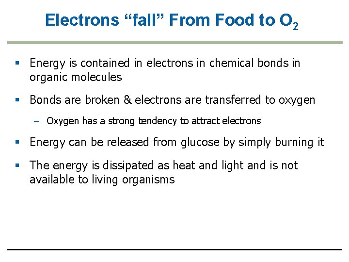 Electrons “fall” From Food to O 2 § Energy is contained in electrons in