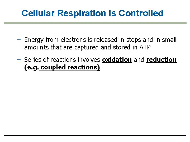 Cellular Respiration is Controlled – Energy from electrons is released in steps and in