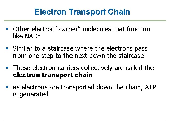 Electron Transport Chain § Other electron “carrier” molecules that function like NAD+ § Similar
