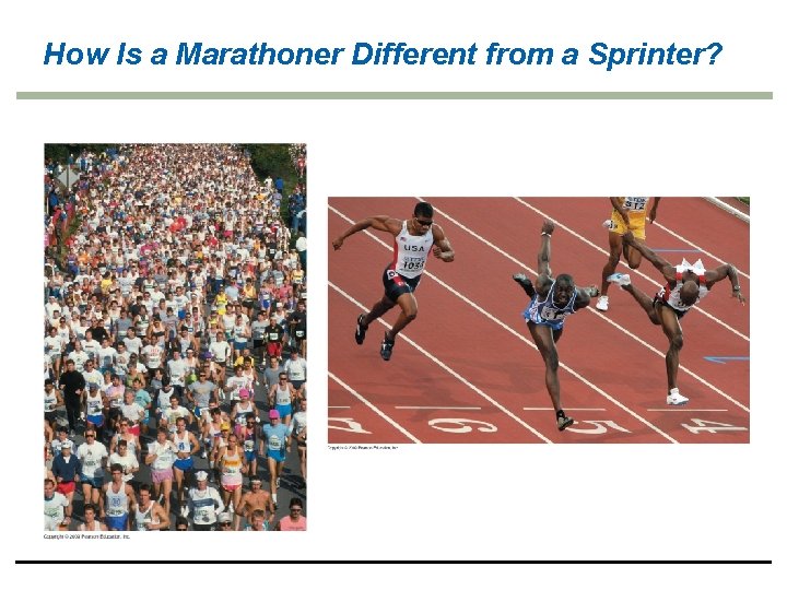 How Is a Marathoner Different from a Sprinter? 
