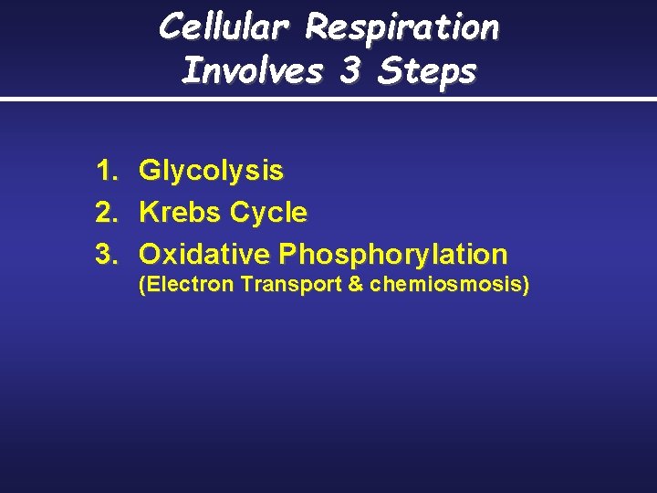 Cellular Respiration Involves 3 Steps 1. 2. 3. Glycolysis Krebs Cycle Oxidative Phosphorylation (Electron