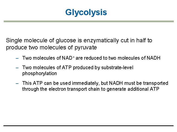 Glycolysis Single molecule of glucose is enzymatically cut in half to produce two molecules