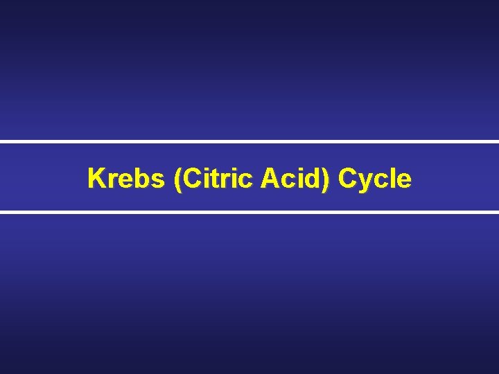Krebs (Citric Acid) Cycle 