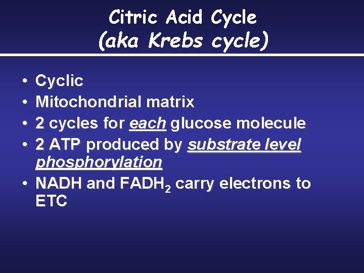 Citric Acid Cycle (aka Krebs cycle) • • Cyclic Mitochondrial matrix 2 cycles for