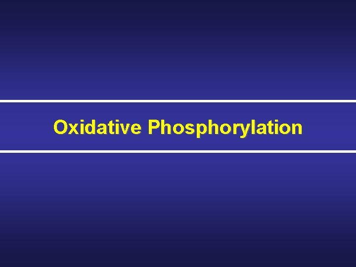 Oxidative Phosphorylation 