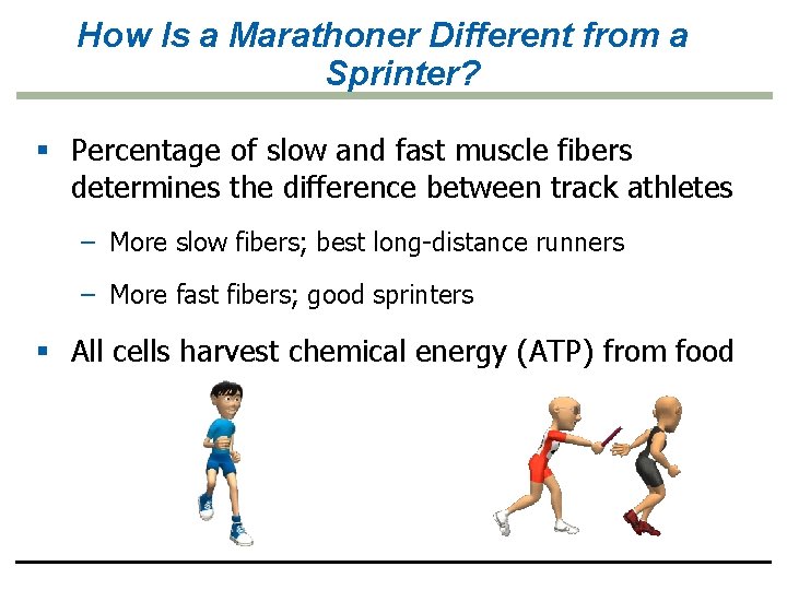 How Is a Marathoner Different from a Sprinter? § Percentage of slow and fast