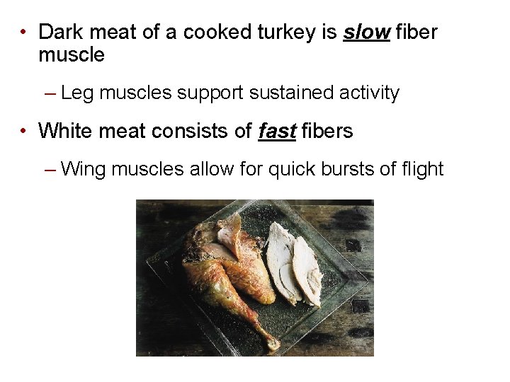  • Dark meat of a cooked turkey is slow fiber muscle – Leg