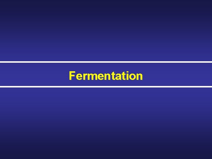 Fermentation 
