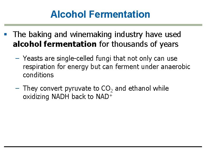 Alcohol Fermentation § The baking and winemaking industry have used alcohol fermentation for thousands