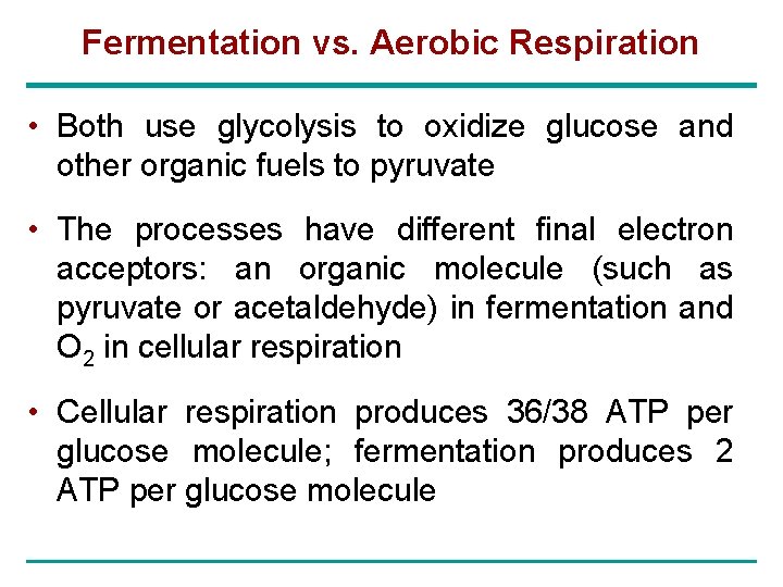 Fermentation vs. Aerobic Respiration • Both use glycolysis to oxidize glucose and other organic