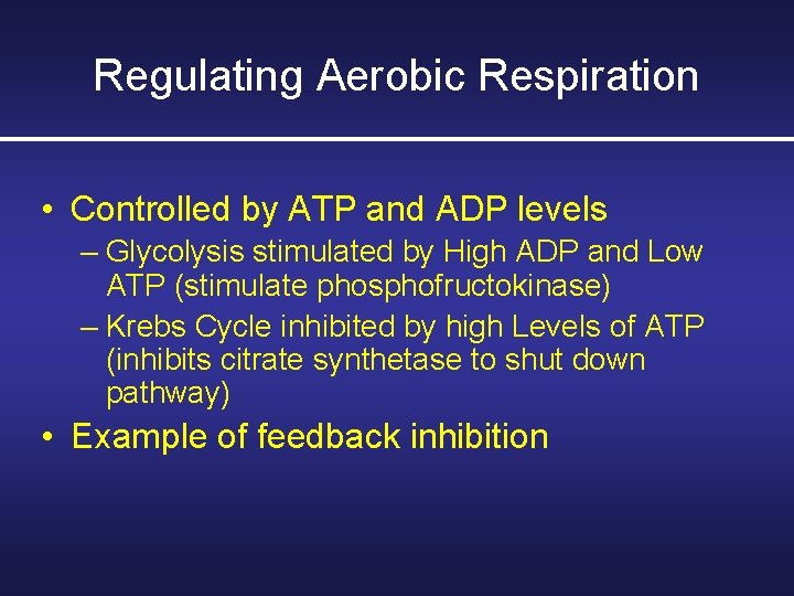 Regulating Aerobic Respiration • Controlled by ATP and ADP levels – Glycolysis stimulated by