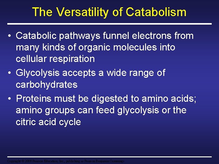 The Versatility of Catabolism • Catabolic pathways funnel electrons from many kinds of organic