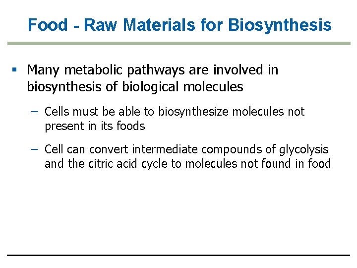 Food - Raw Materials for Biosynthesis § Many metabolic pathways are involved in biosynthesis