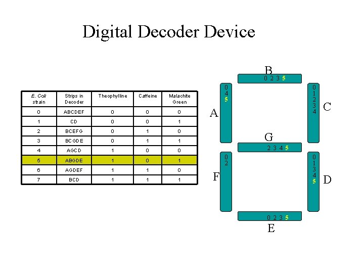 Digital Decoder Device B 0 2 3 5 E. Coli strain Strips in Decoder