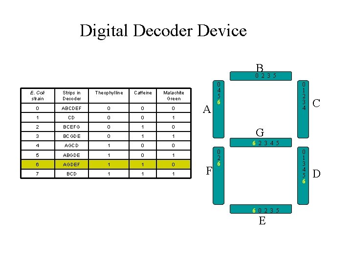 Digital Decoder Device B 0 2 3 5 E. Coli strain Strips in Decoder