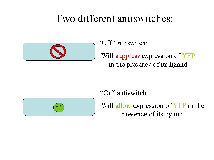 Two different antiswitches: “Off” antiswitch: Will suppress expression of YFP in the presence of