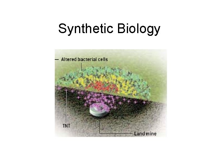 Synthetic Biology 