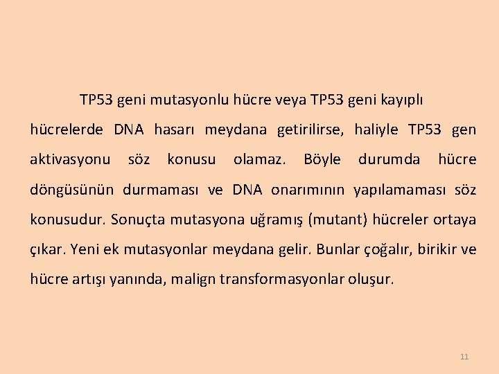 TP 53 geni mutasyonlu hücre veya TP 53 geni kayıplı hücrelerde DNA hasarı meydana