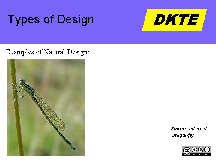 Types of Design DKTE Examples of Natural Design: Source: Internet Dragonfly 
