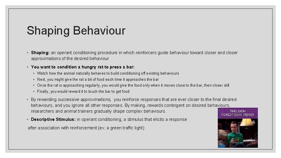 Shaping Behaviour ◦ Shaping: an operant conditioning procedure in which reinforcers guide behaviour toward