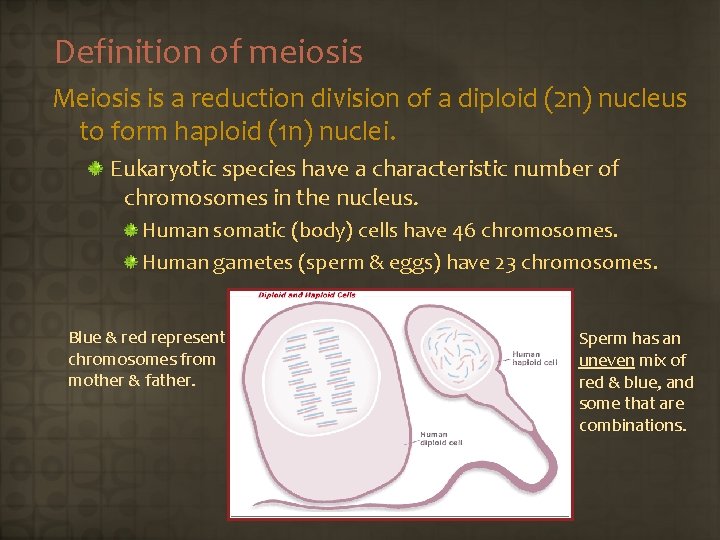 Definition of meiosis Meiosis is a reduction division of a diploid (2 n) nucleus
