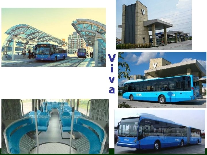 V i v a 