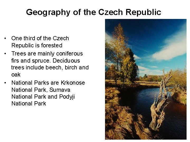Geography of the Czech Republic • One third of the Czech Republic is forested