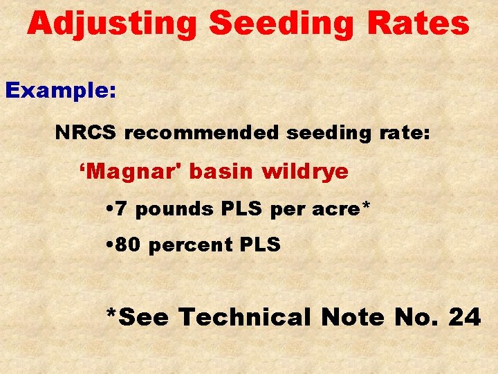 Adjusting Seeding Rates Example: NRCS recommended seeding rate: ‘Magnar' basin wildrye • 7 pounds