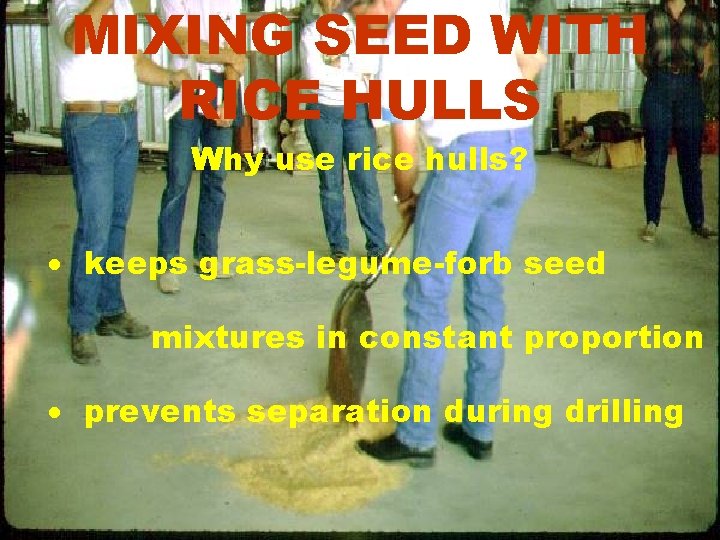 MIXING SEED WITH RICE HULLS Why use rice hulls? · keeps grass-legume-forb seed mixtures