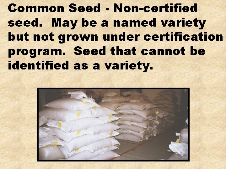 Common Seed - Non-certified seed. May be a named variety but not grown under