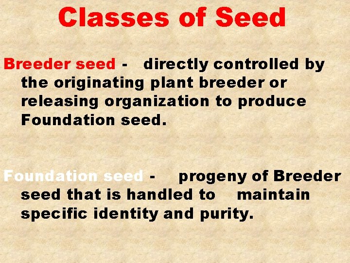 Classes of Seed Breeder seed - directly controlled by the originating plant breeder or