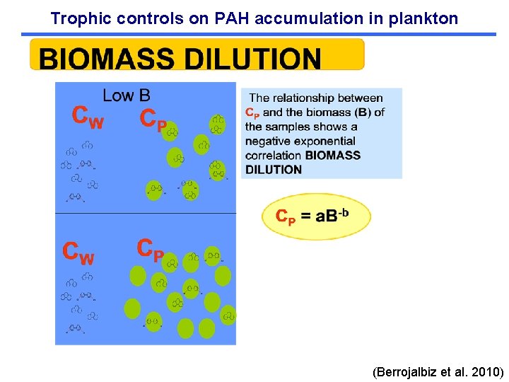 Trophic controls on PAH accumulation in plankton (Berrojalbiz et al. 2010) 