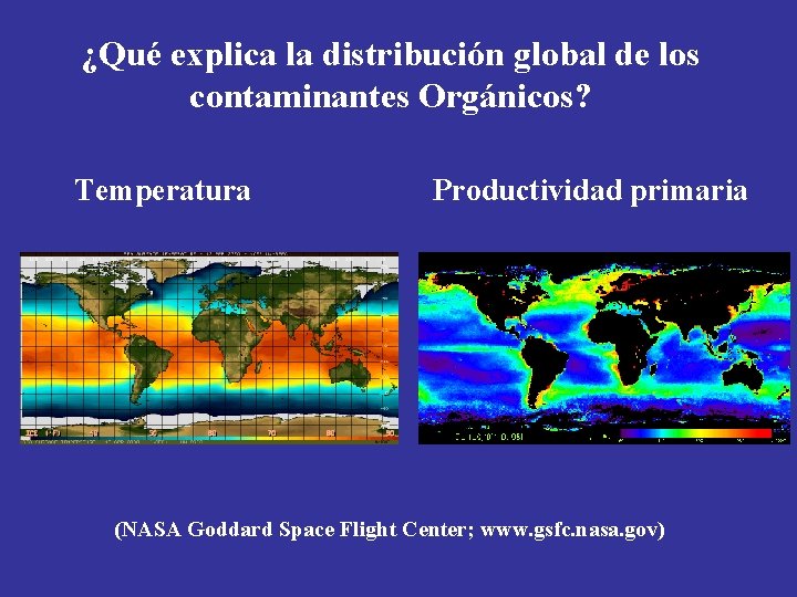 ¿Qué explica la distribución global de los contaminantes Orgánicos? Temperatura Productividad primaria (NASA Goddard