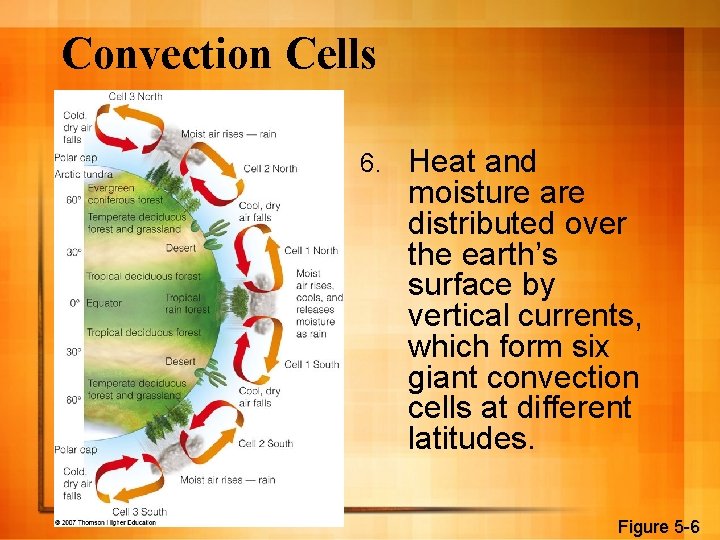 Convection Cells 6. Heat and moisture are distributed over the earth’s surface by vertical