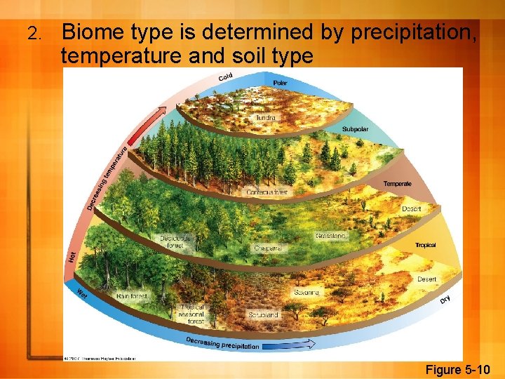 2. Biome type is determined by precipitation, temperature and soil type Figure 5 -10