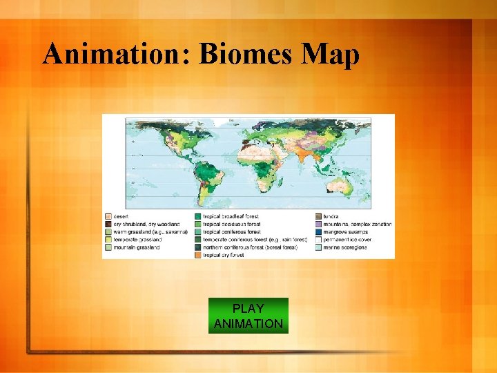 Animation: Biomes Map PLAY ANIMATION 