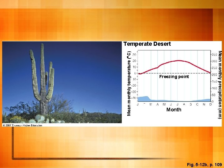 Freezing point Month Mean monthly precipitation (mm) Mean monthly temperature ( C) Temperate Desert