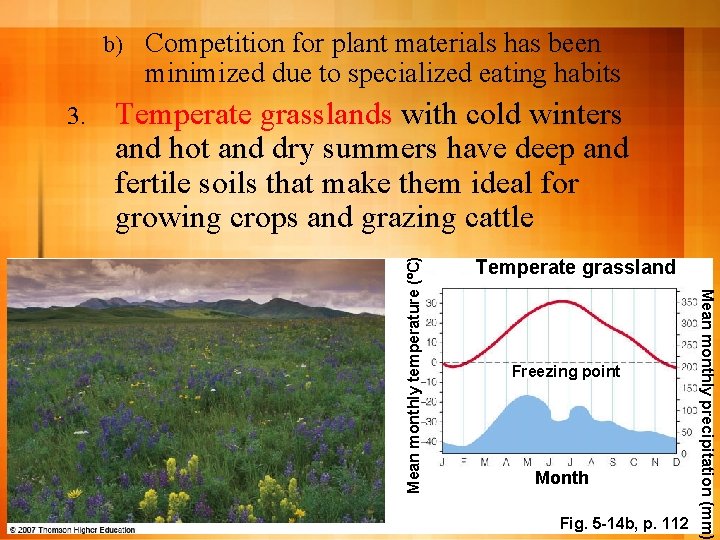 b) Temperate grasslands with cold winters and hot and dry summers have deep and