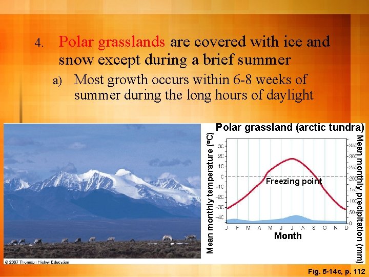 Polar grasslands are covered with ice and snow except during a brief summer a)