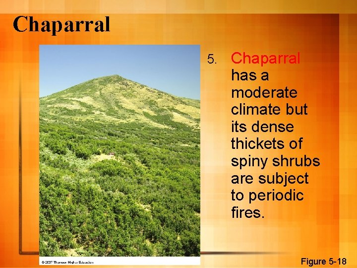 Chaparral 5. Chaparral has a moderate climate but its dense thickets of spiny shrubs