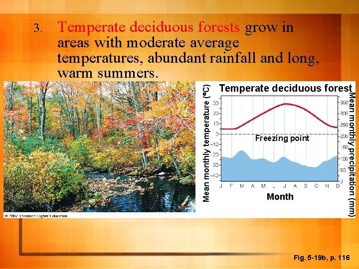 Temperate deciduous forests grow in areas with moderate average temperatures, abundant rainfall and long,