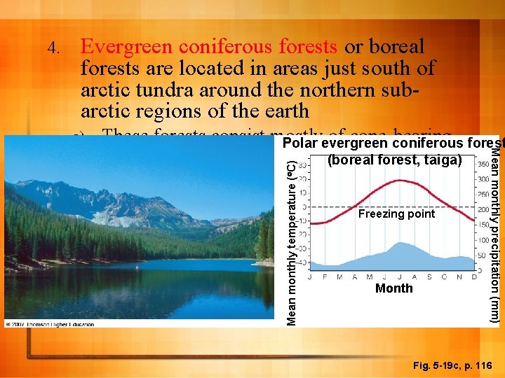 Evergreen coniferous forests or boreal forests are located in areas just south of arctic