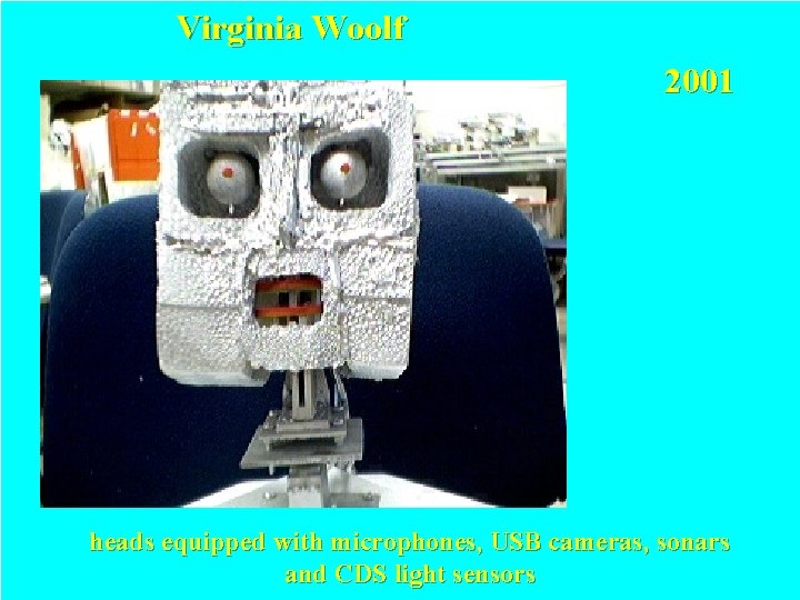 Virginia Woolf 2001 heads equipped with microphones, USB cameras, sonars and CDS light sensors Virginia Woolf 2001 heads equipped with microphones, USB cameras, sonars and CDS light sensors