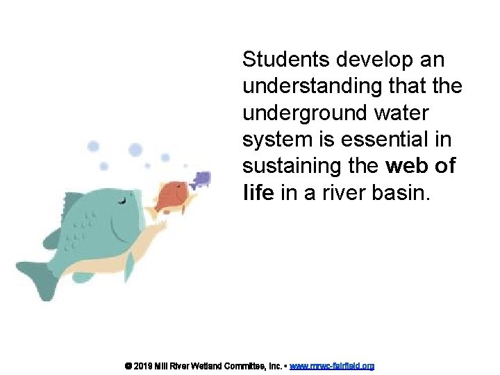 Students develop an understanding that the underground water system is essential in sustaining the