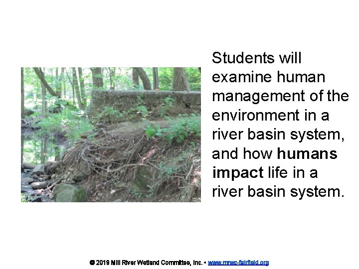 Students will examine human management of the environment in a river basin system, and