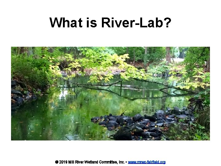 What is River-Lab? © 2019 Mill River Wetland Committee, Inc. • www. mrwc-fairfield. org